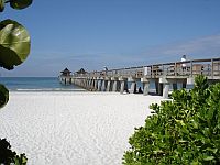 Pictured by our renter Mr. Kueken. Thanks.
+++
CLICK on picture to enlarge. 
Later CLOSE (x) large picture.