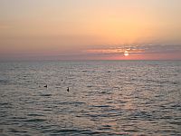 Sonnenuntergang am Naples' Pier.
Bild von unserem Mieter Dr. ANSARI. Danke.
+++
KLICK aufs Bild vergroessert es. Spaeter grosses Bild schliessen (x).