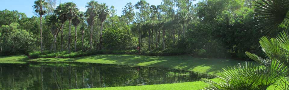 Soothing view of a lake.