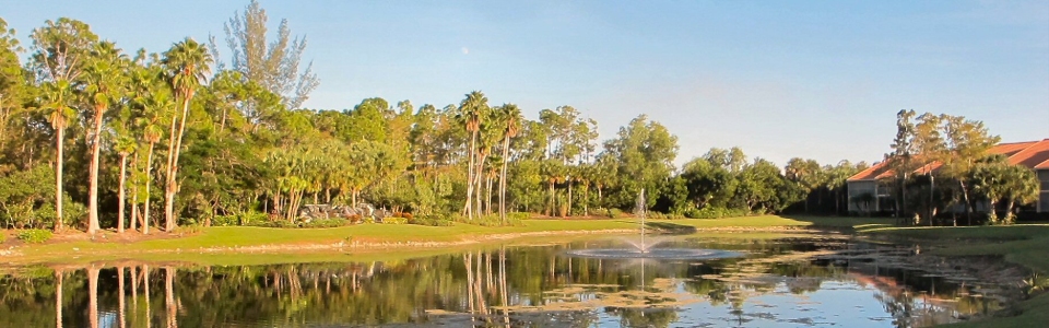 Soothing view of a lake.