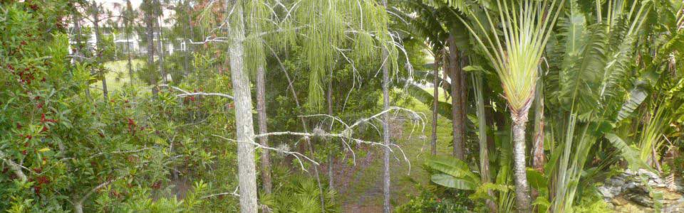 Marvelous look into a preserve.