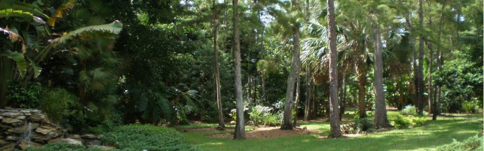 Marvelous look into a preserve.